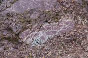 Weathered rock, Alaska (claystone or siltstone?)